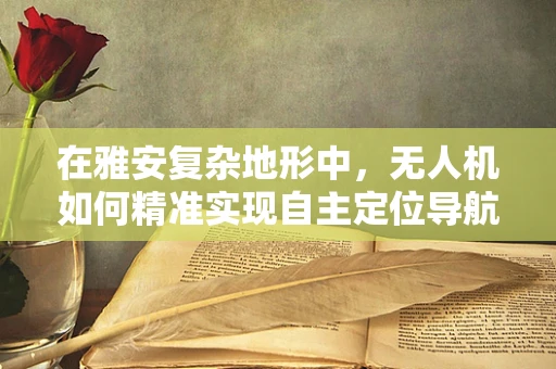 在雅安复杂地形中，无人机如何精准实现自主定位导航？
