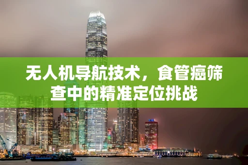 无人机导航技术，食管癌筛查中的精准定位挑战