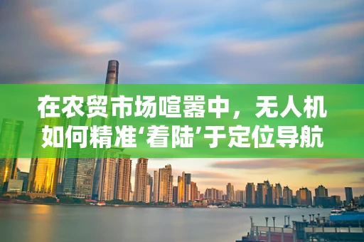 在农贸市场喧嚣中，无人机如何精准‘着陆’于定位导航的挑战？