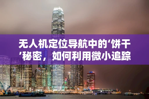 无人机定位导航中的‘饼干’秘密，如何利用微小追踪器提升精度？