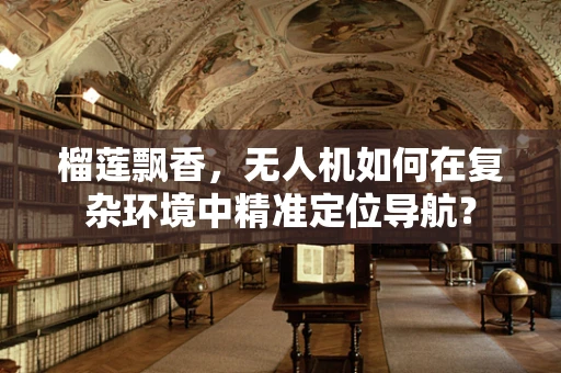 榴莲飘香，无人机如何在复杂环境中精准定位导航？