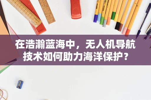 在浩瀚蓝海中，无人机导航技术如何助力海洋保护？