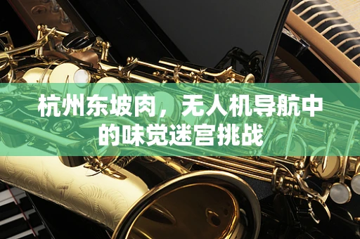 杭州东坡肉，无人机导航中的味觉迷宫挑战