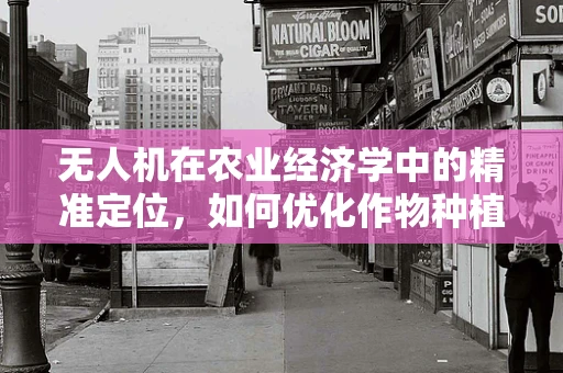 无人机在农业经济学中的精准定位，如何优化作物种植与资源分配？