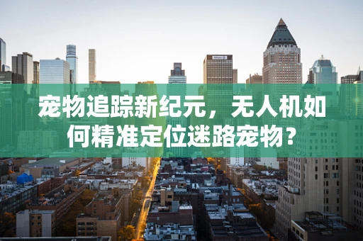 宠物追踪新纪元，无人机如何精准定位迷路宠物？