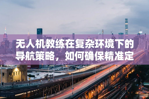 无人机教练在复杂环境下的导航策略，如何确保精准定位？