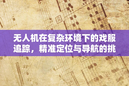 无人机在复杂环境下的戏服追踪，精准定位与导航的挑战