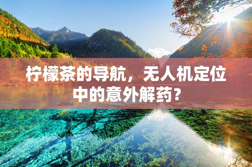 柠檬茶的导航，无人机定位中的意外解药？