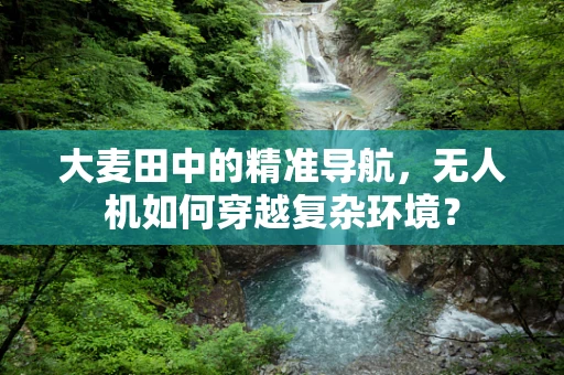 大麦田中的精准导航，无人机如何穿越复杂环境？