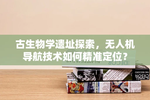 古生物学遗址探索，无人机导航技术如何精准定位？