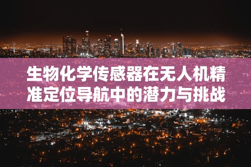 生物化学传感器在无人机精准定位导航中的潜力与挑战？