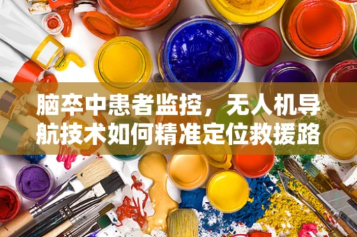 脑卒中患者监控，无人机导航技术如何精准定位救援路径？