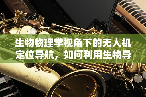 生物物理学视角下的无人机定位导航，如何利用生物导航机制提升精度？