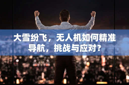 大雪纷飞，无人机如何精准导航，挑战与应对？