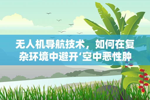 无人机导航技术，如何在复杂环境中避开‘空中恶性肿瘤’？