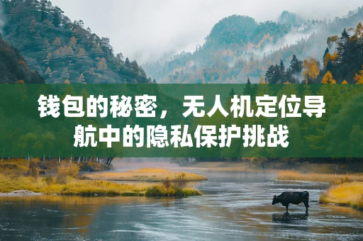 钱包的秘密，无人机定位导航中的隐私保护挑战