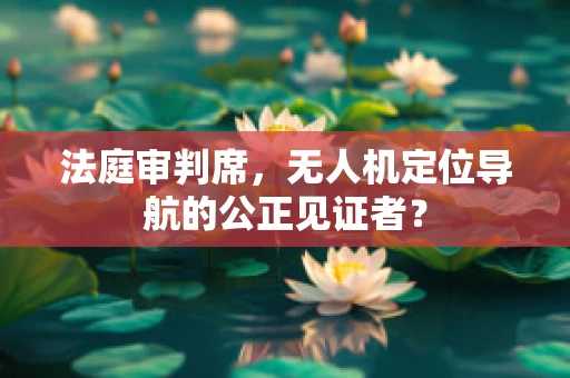 法庭审判席，无人机定位导航的公正见证者？