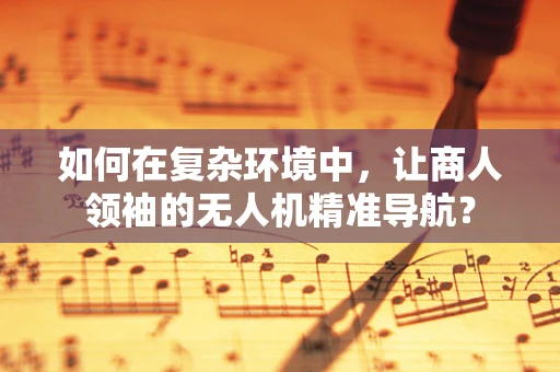 如何在复杂环境中，让商人领袖的无人机精准导航？