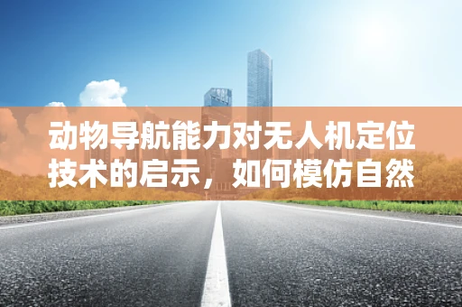 动物导航能力对无人机定位技术的启示，如何模仿自然界的精准导航？