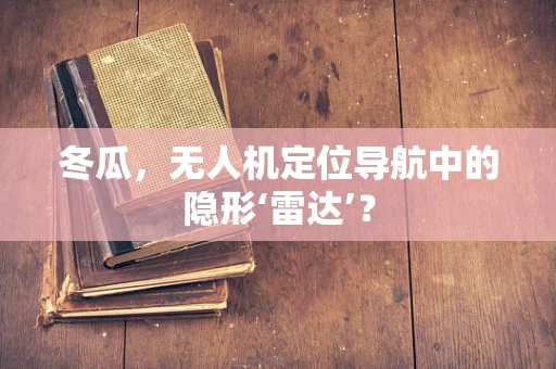 冬瓜，无人机定位导航中的隐形‘雷达’？