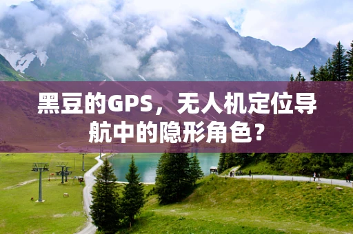 黑豆的GPS，无人机定位导航中的隐形角色？