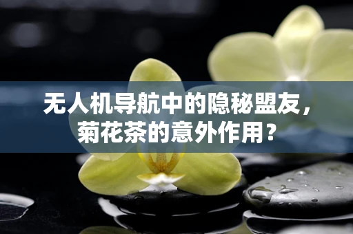 无人机导航中的隐秘盟友，菊花茶的意外作用？