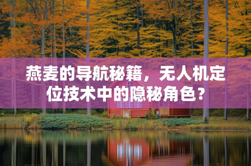 燕麦的导航秘籍，无人机定位技术中的隐秘角色？