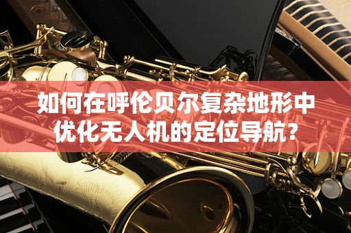 如何在呼伦贝尔复杂地形中优化无人机的定位导航？