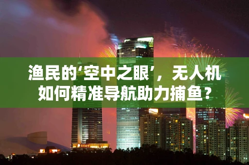 渔民的‘空中之眼’，无人机如何精准导航助力捕鱼？