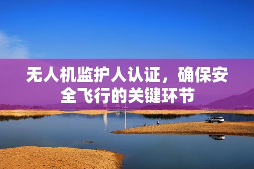 无人机监护人认证，确保安全飞行的关键环节
