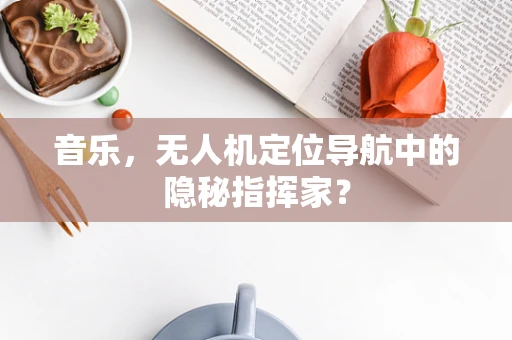 音乐，无人机定位导航中的隐秘指挥家？