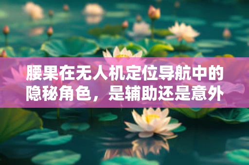 腰果在无人机定位导航中的隐秘角色，是辅助还是意外之选？