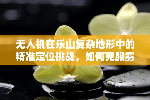无人机在乐山复杂地形中的精准定位挑战，如何克服雾锁峨眉的困境？