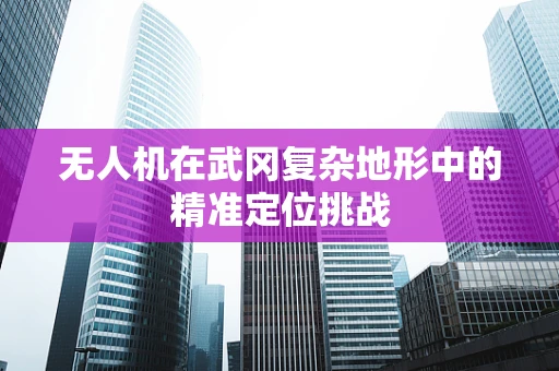 无人机在武冈复杂地形中的精准定位挑战