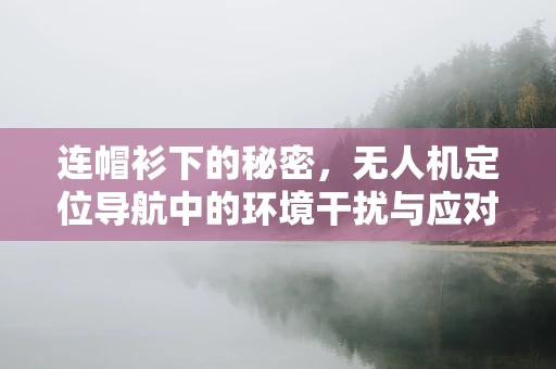 连帽衫下的秘密，无人机定位导航中的环境干扰与应对策略