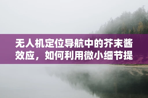 无人机定位导航中的芥末酱效应，如何利用微小细节提升精度？