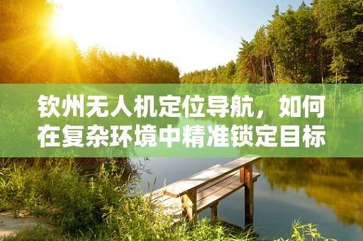 钦州无人机定位导航，如何在复杂环境中精准锁定目标？