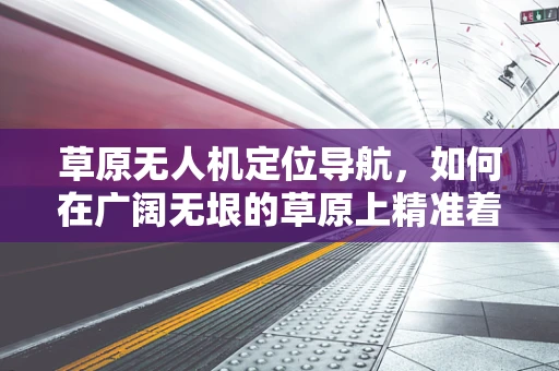 草原无人机定位导航，如何在广阔无垠的草原上精准着陆？