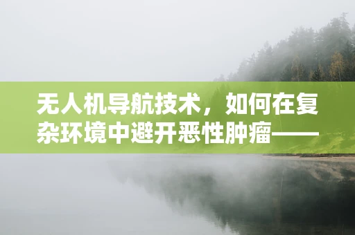 无人机导航技术，如何在复杂环境中避开恶性肿瘤——电磁干扰