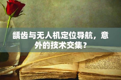 龋齿与无人机定位导航，意外的技术交集？