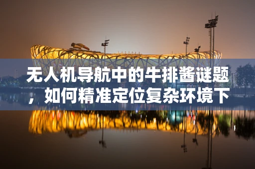 无人机导航中的牛排酱谜题，如何精准定位复杂环境下的目标？