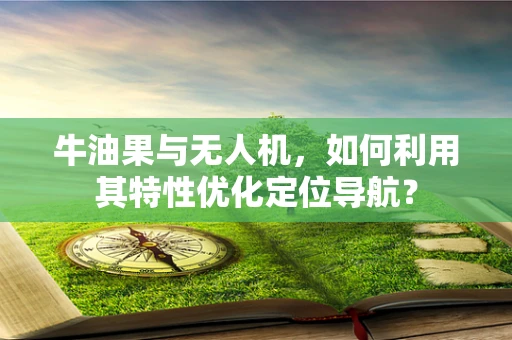 牛油果与无人机，如何利用其特性优化定位导航？