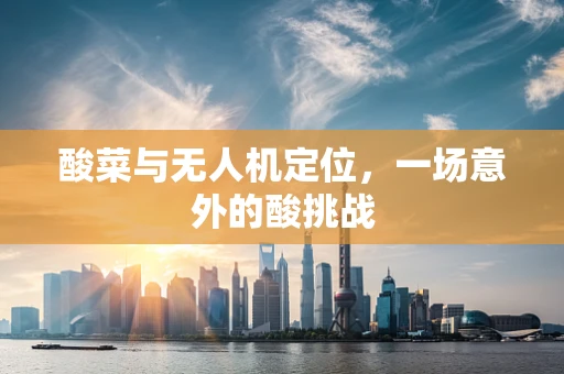 酸菜与无人机定位，一场意外的酸挑战