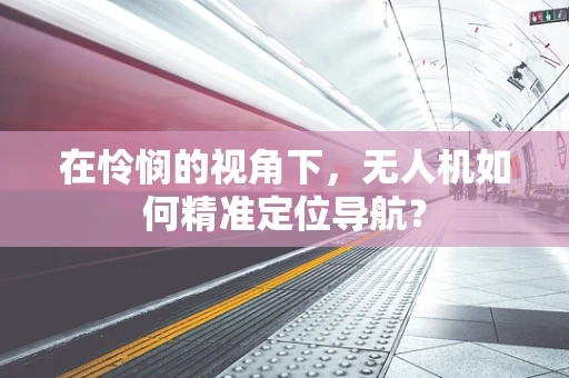 在怜悯的视角下，无人机如何精准定位导航？