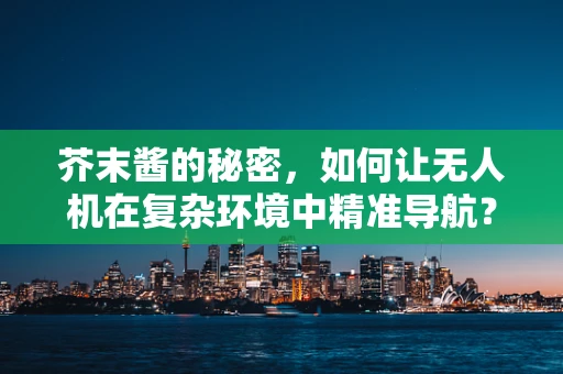 芥末酱的秘密，如何让无人机在复杂环境中精准导航？