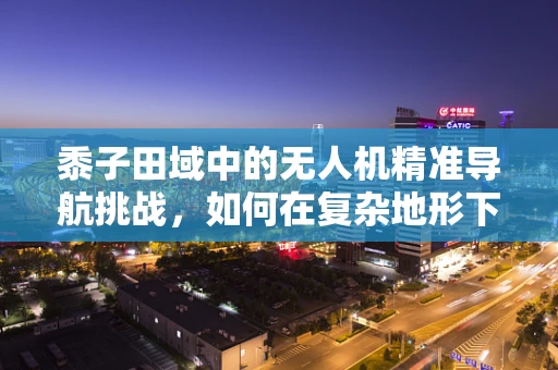 黍子田域中的无人机精准导航挑战，如何在复杂地形下实现稳定定位？