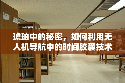 琥珀中的秘密，如何利用无人机导航中的时间胶囊技术？