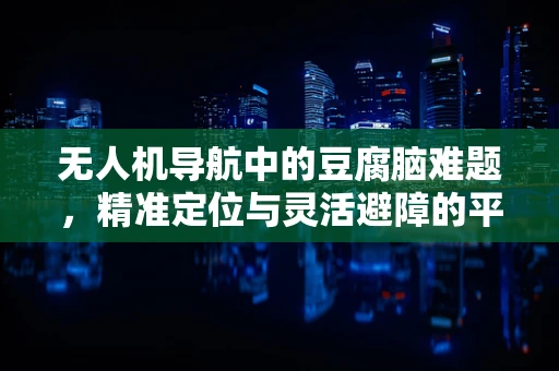 无人机导航中的豆腐脑难题，精准定位与灵活避障的平衡