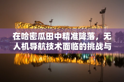 在哈密瓜田中精准降落，无人机导航技术面临的挑战与解决方案