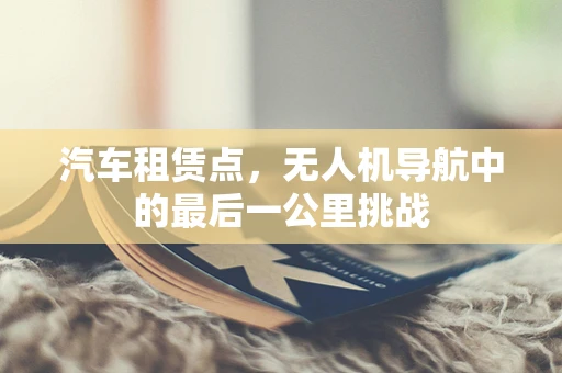 汽车租赁点，无人机导航中的最后一公里挑战